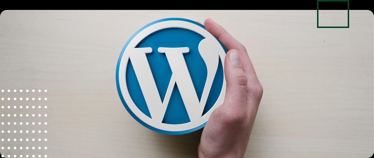 Hire Expert WordPress Developers