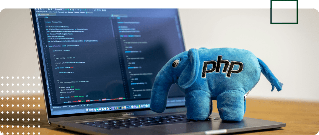 PHP Developers